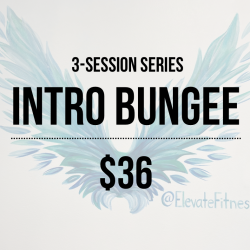 Intro Bungee (3-Session Series)