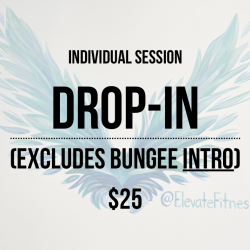 Drop-In Session (Excludes Bungee Intro)