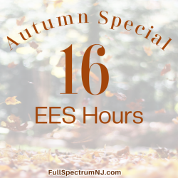Autumn Special 16 EESystem hours
