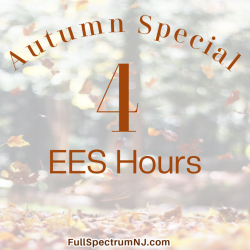 Autumn Special 4 EESystem hours