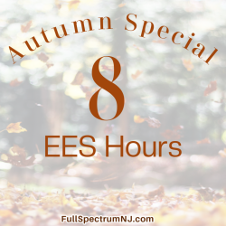 Autumn Special 8 EESystem hours