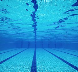 Women Swim Lessons // Fall 2025