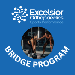 Bridge-Single Session