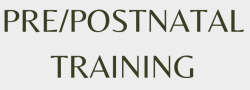 Pre and Postnatal Yoga/Fitness Certification Course