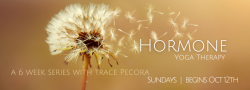 Hormone Yoga Therapy | Oct 12-Nov 16