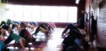 YOGA WORKSHOP