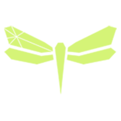 Fly 12