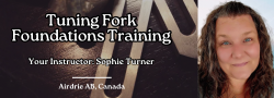 Tuning Fork Foundations Course