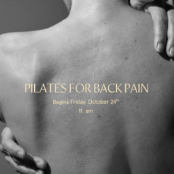 Pilates for Back Pain - 4 Week Series