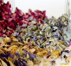 Aromatherapy Face Massage