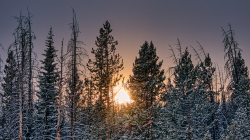 Quiet Waters, Inner Light: A Winter Solstice QiGong & Yoga Dance Workshop