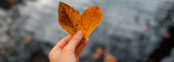 Autumn Breath, Dancing Heart: A QiGong & Yoga Dance Workshop