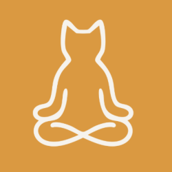 Monthly Unlimited Days (6-Month Contract)