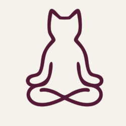 5 Class Monthly Package