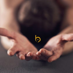 November Wellness Pass
