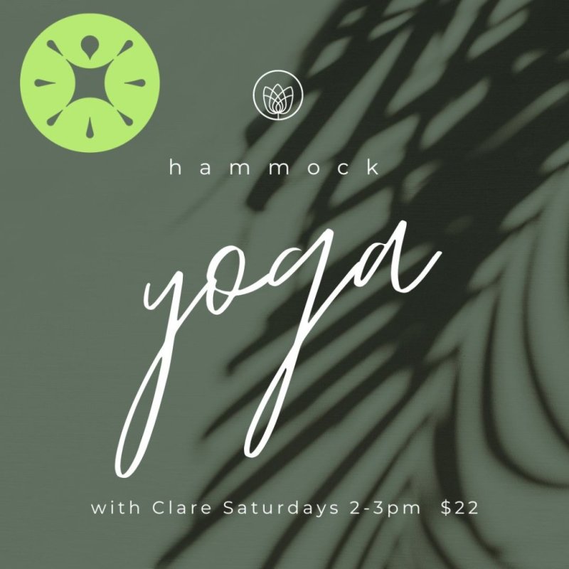 Hammock Yoga
