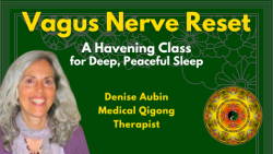 Vagus Nerve Reset with Denise Aubin