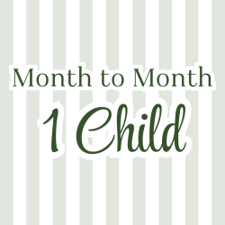 Month to Month - Unlimited 1 Child