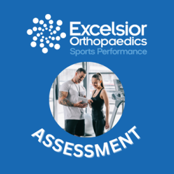 Performance Assessment