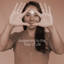 Lift Qi Up/Pour Qi Down Series - 3 Sessions (Dec 6, Jan 3, Feb 1)