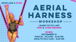Kids Aerial Harness Workshop