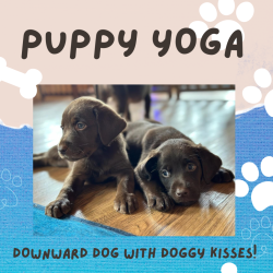 Puppy Yoga 12/13/25 @1:30pm