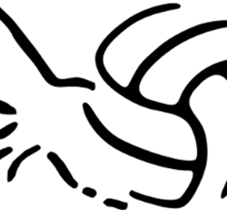 Local BVCA Event November Player Fee