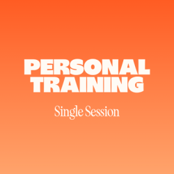 Single Personal Training Session
