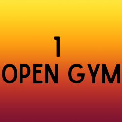 Open Gym