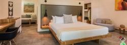Costa Rica Yoga Retreat at CalaLuna: Get Away Suite for 2 with king bed and private bath (per person)