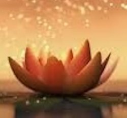 Akashic Recording Reading Session (In Person/Distance)