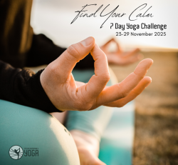 In-Studio Find Your Calm 7 Day Challenge