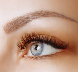 Xtreme Lashes 15 Minutes