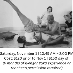 A Day Retreat with Sonia Shaeri