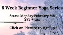 6 Week Beginner Series