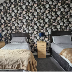 Shared Twin $4100 (Ireland Retreat 2026)