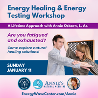 Energy Healing + Energy Testing with Annie Osborn
