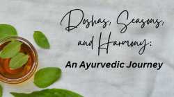 Doshas, Seasons,  and Harmony: An Ayurvedic Journey