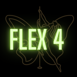 FLEX 4 (PASS)