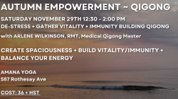 AUTUMN EMPOWERMENT ~ QIGONG (November 29th, 2025)