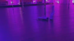 Intro to Pole w/ Furries of Maryland (Private Event)