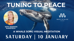 Tuning to Peace -- Cushioned Folding Chair