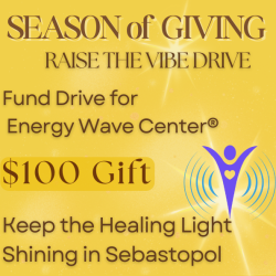 Season of Giving Donation - $100