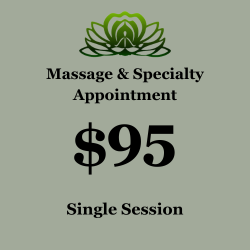 MASSAGE & SPECIALTY APPOINTMENT | $95