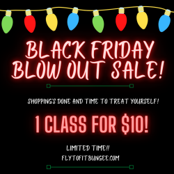 BLACK FRIDAY SALE!