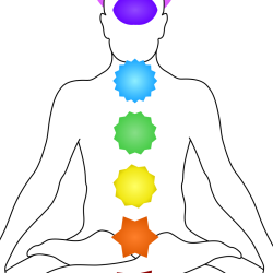 10 class pass (get 2 classes free)