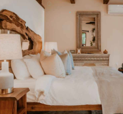 Panama Retreat 2026 _ Casa OM Spot