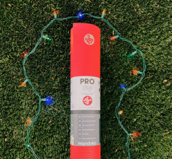 Best Deals 2025_$1150 Annual Unlimited Membership