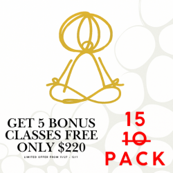 THANKSGIVING SPECIAL 10 Class Package WITH 5 BONUS CLASS ($220)