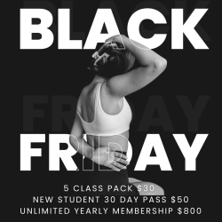 New Student 30-Day Holiday Pass $50
